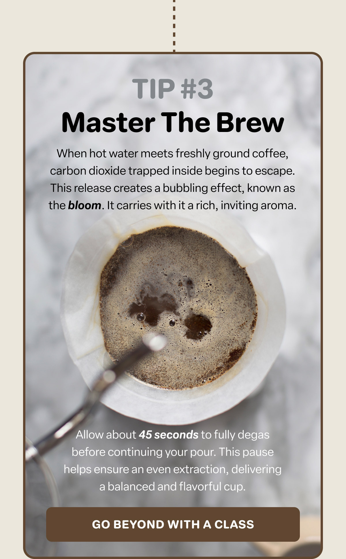 Master The Brew