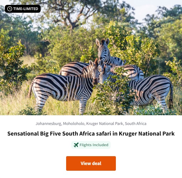 Sensational Big Five South Africa safari in Kruger National Park