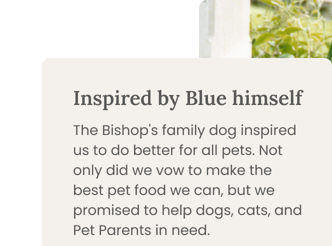 The Bishop's family dog inspired us to do better for all pets. Not only did we vow to make the best pet food we can, but we promised to help dogs, cats, and Pet Parents in need.