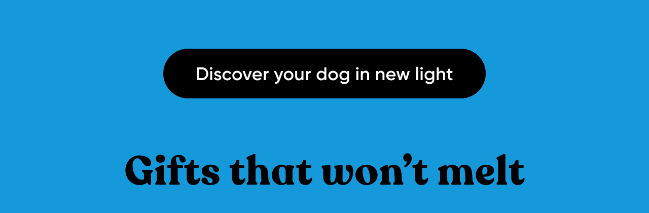 Discover your dog in new light