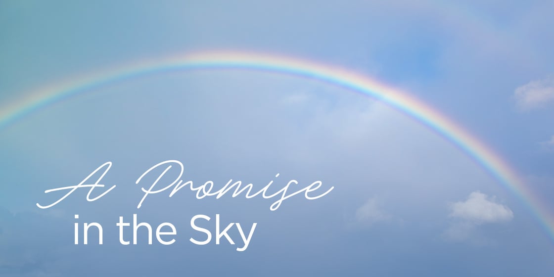 A Promise in the sky