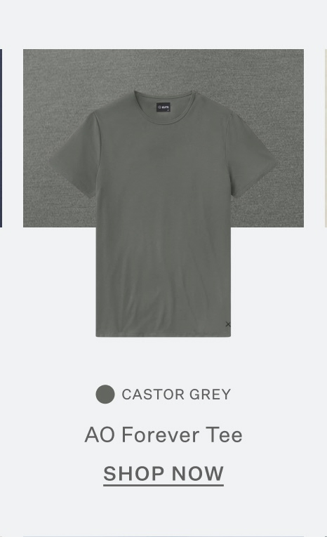 AO Forever Tee