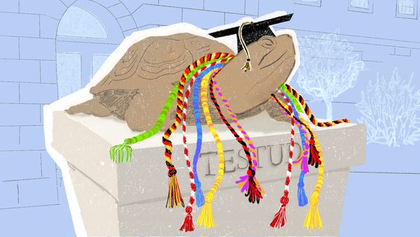 Illustration of bronze Testudo with graduation cap and colorful graduation cords