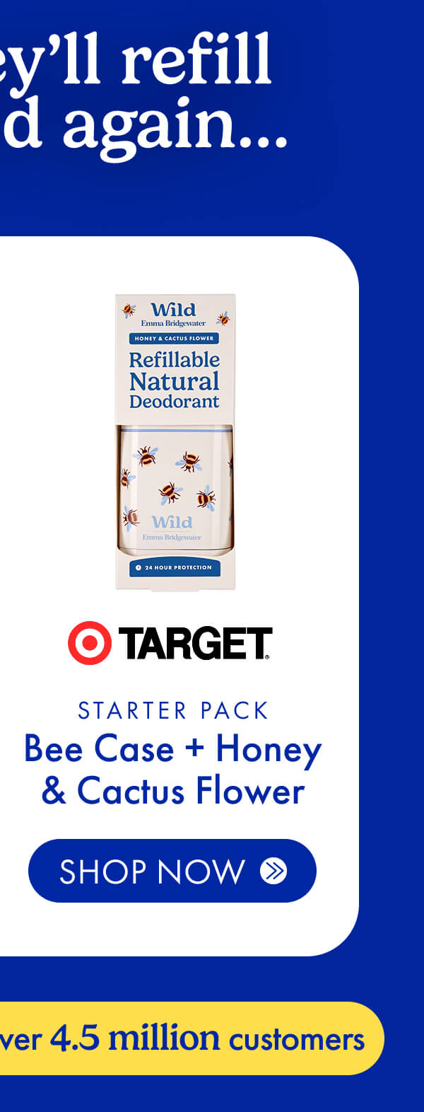 Starter Pack Bee Case + Honey & Cactus Flower in TARGET