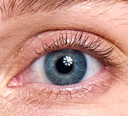 Naked lashes