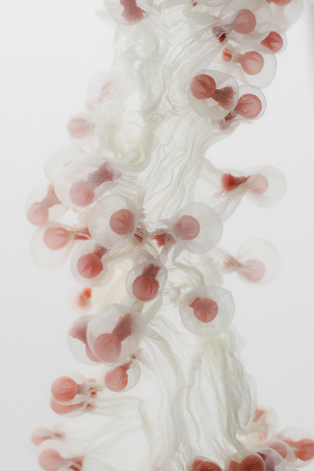Fiberium 04