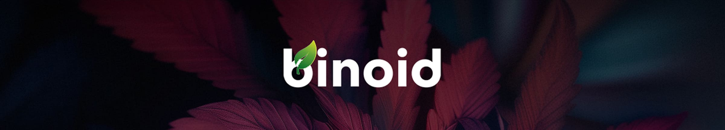 binoid
