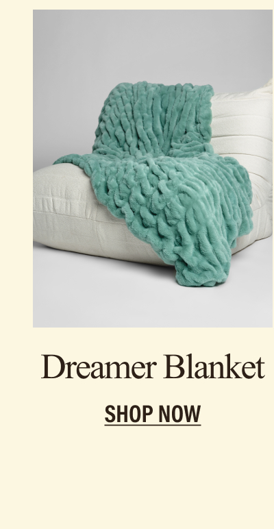 Graduation Gift Guide | Shop Dreamer
