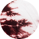 ICON: Dyes