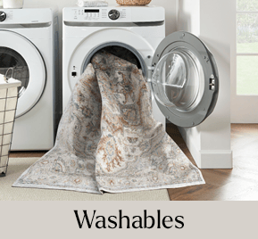 Washable Area Rugs