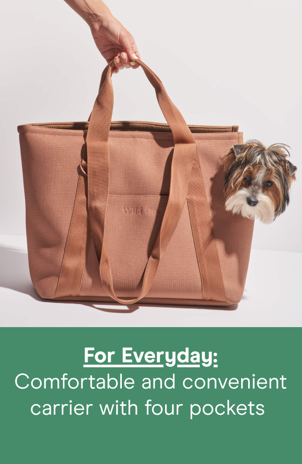 For Everyday: Comfortable and convenient carrier with four pockets&nbsp;