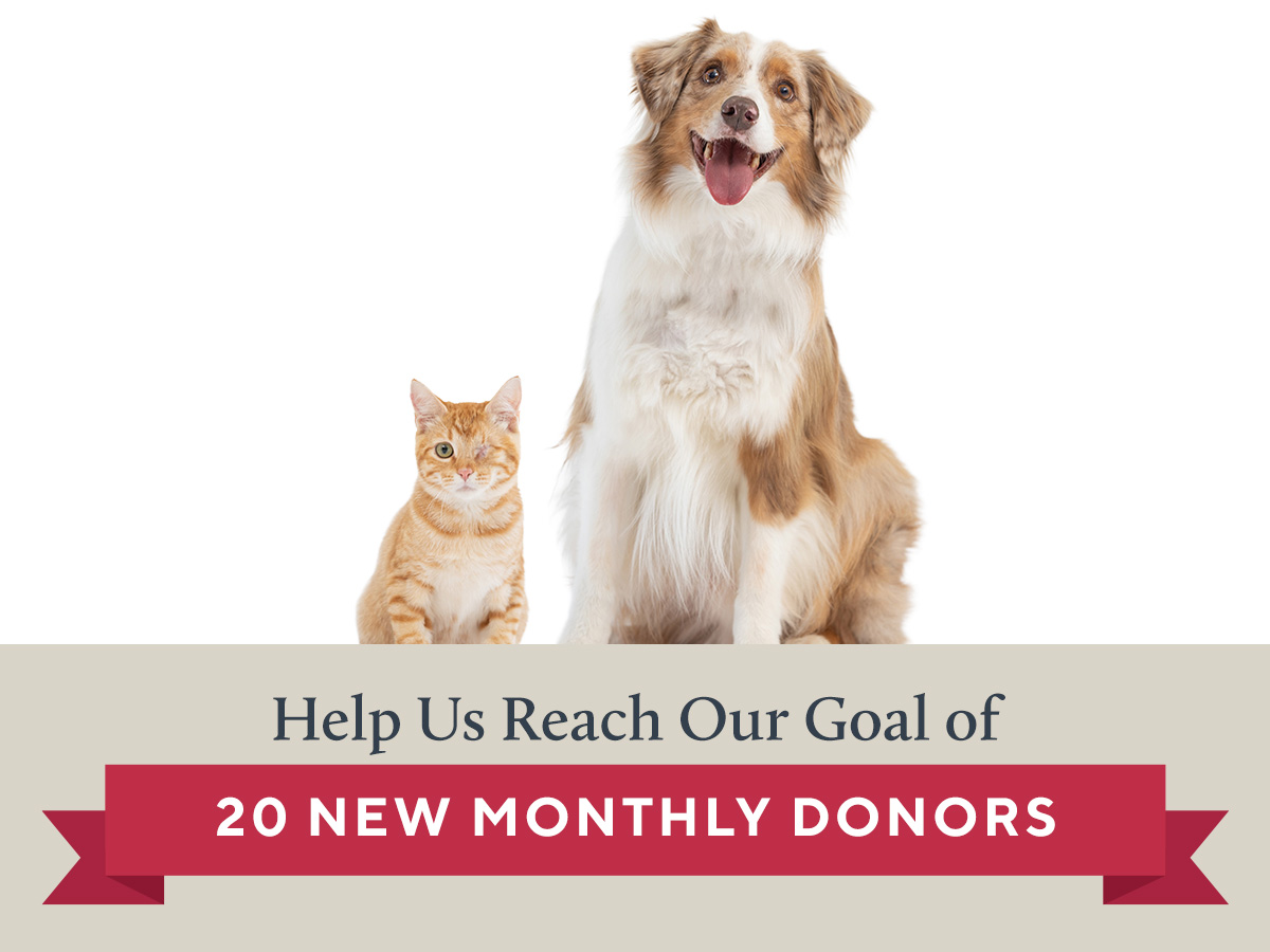 Help Us Reach Our Goal of 20 NEW MONTHLY DONORS