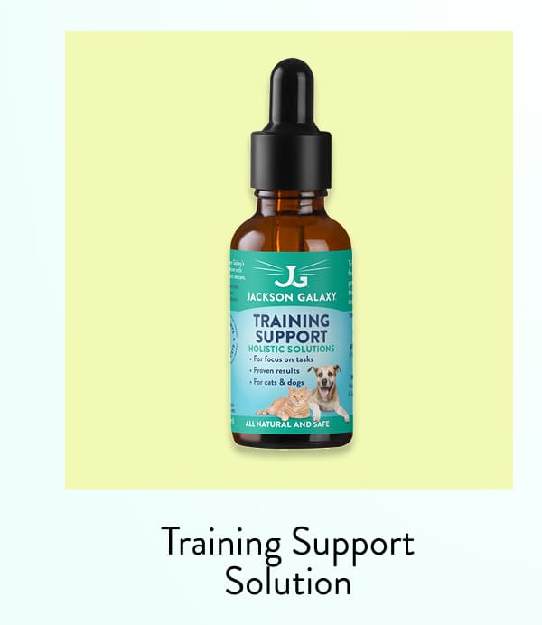 Shop training support