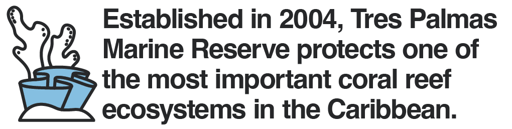 Established in 2004, Tres Palmas Marine Reserve protects one of the most important coral reef ecosystems in the Caribbean.
