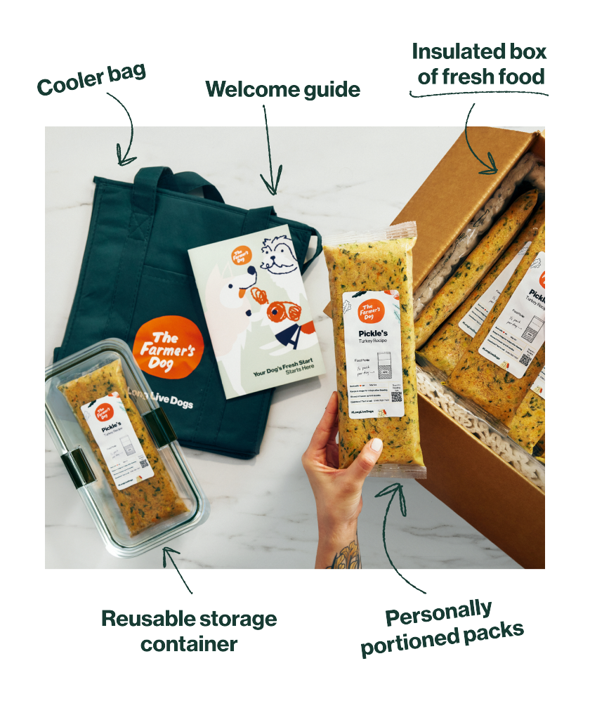 Cooler bag. Welcome guide. Insulated box of fresh food. Reusable storage container. Personally portioned packs. Delivered to your door