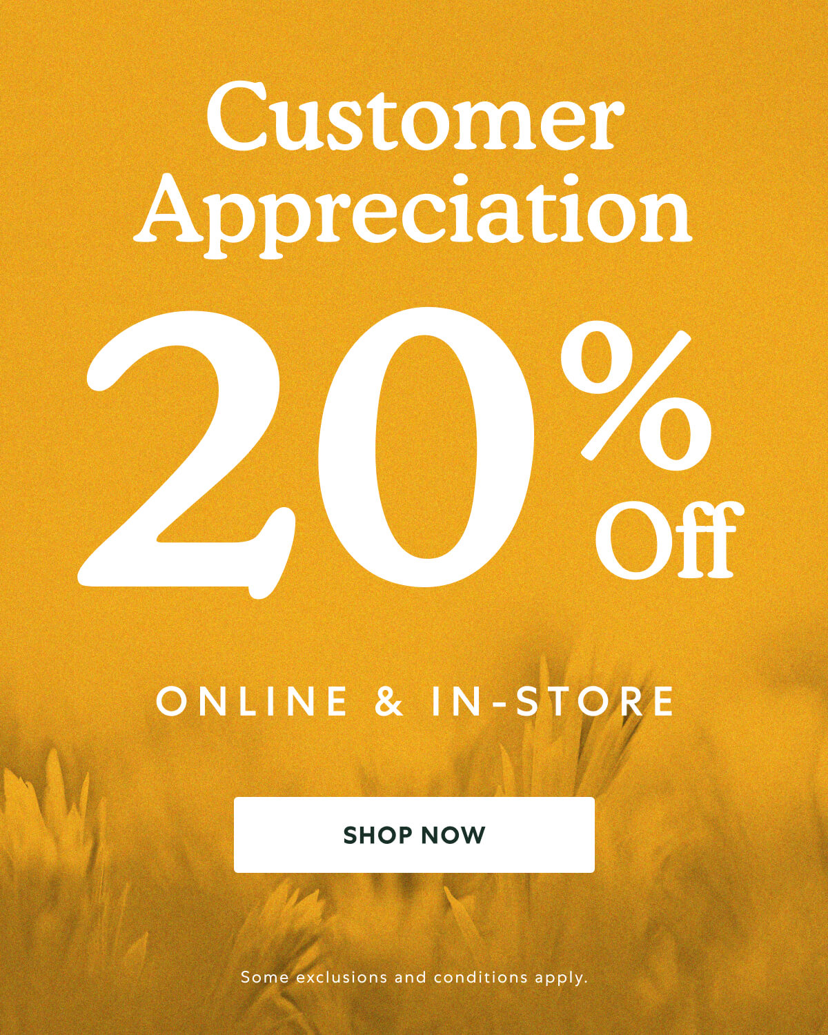 Customer Appreciation 20% OFF