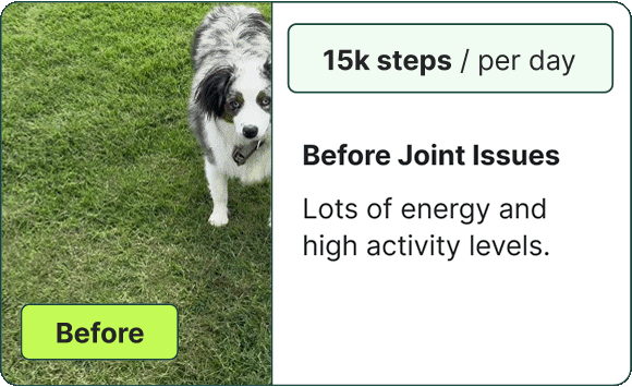Before Joint Issues