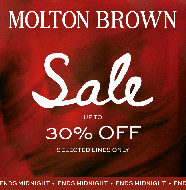 30% Off Sale Banner