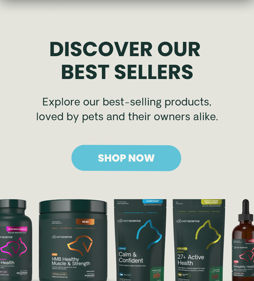 Discover our best sellers | [SHOP NOW]