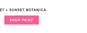 Shop Sunset Botanica