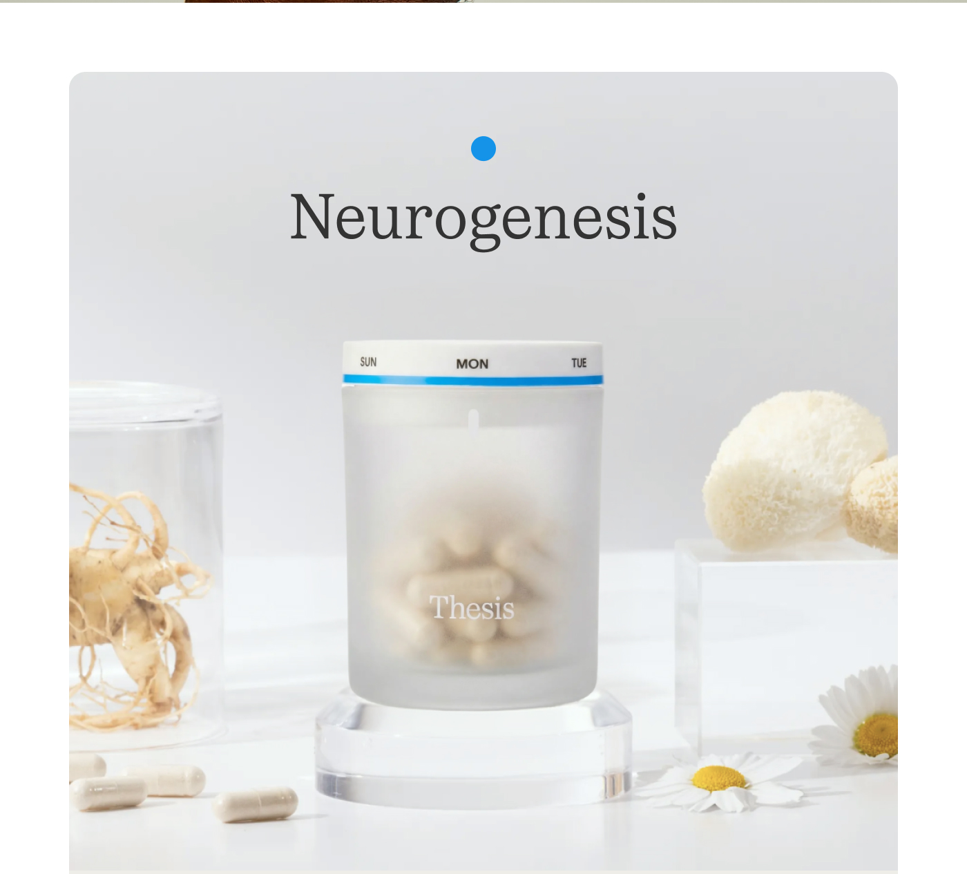 Neurogenesis
