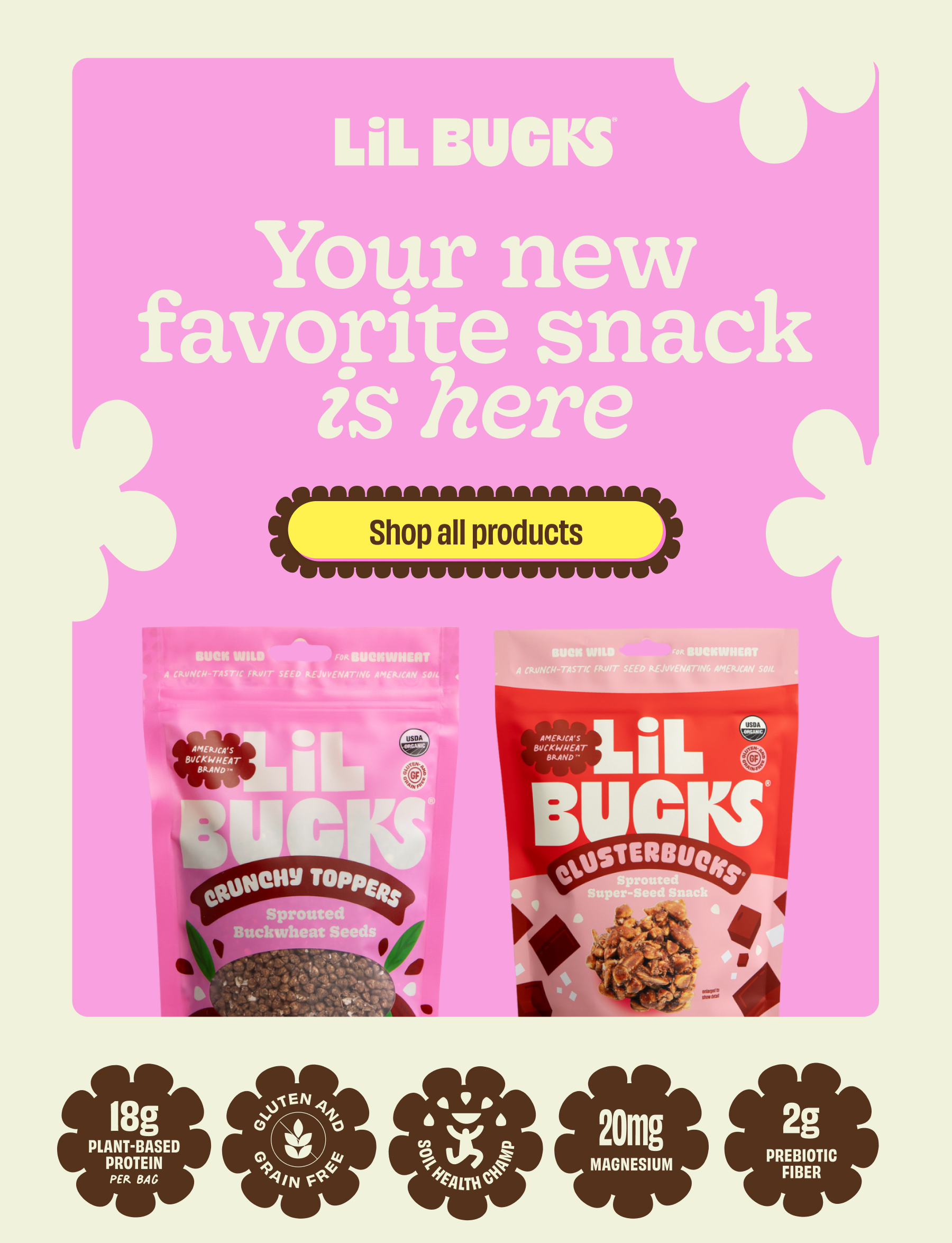 lil bucks snacks