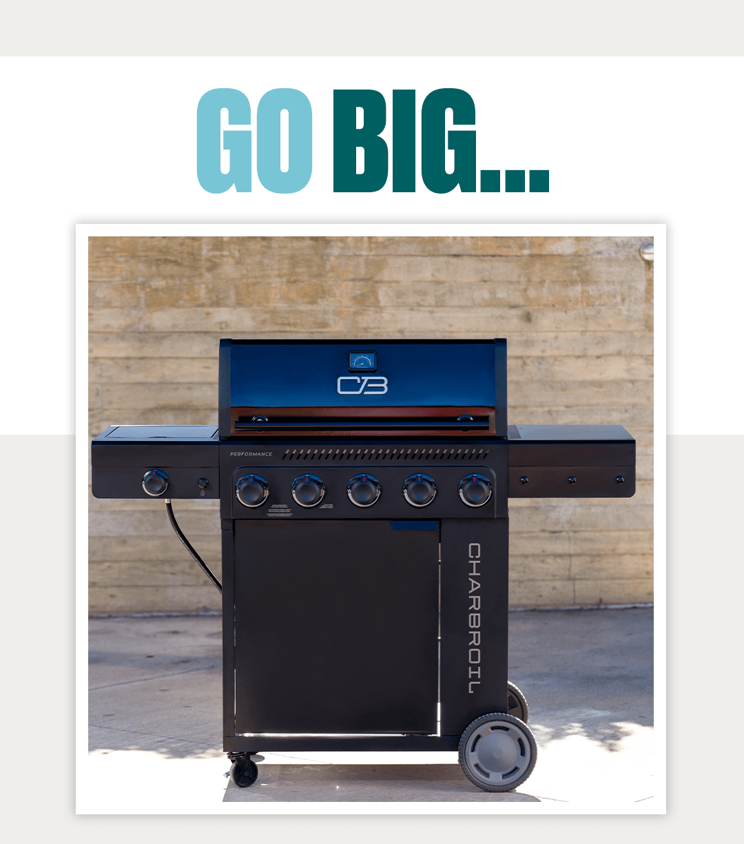 Go Big: Performance Series 5 Burner