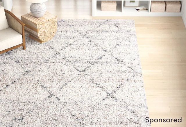 Find Your Perfect Area Rug