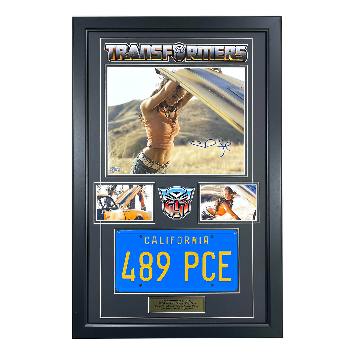 Iconic License Plates