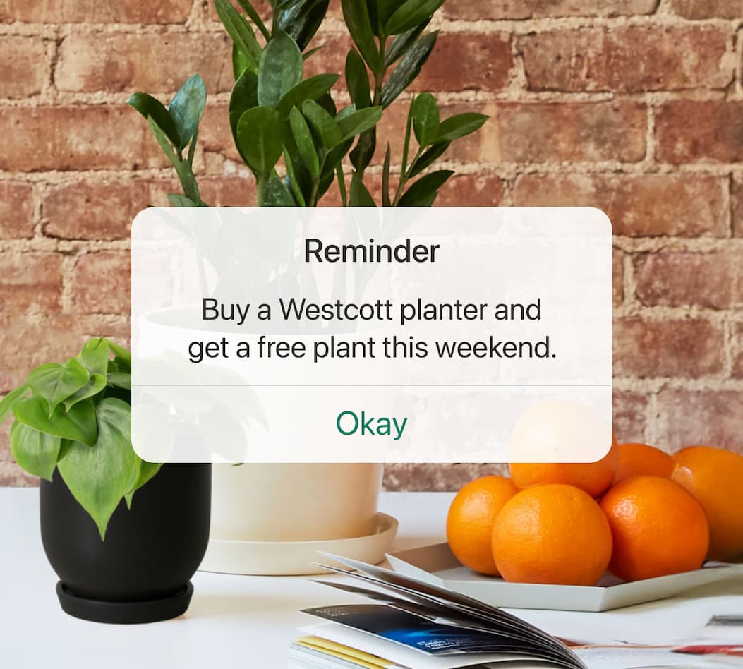 Reminder: Buy a Westcott planter and get a free plant this weekend. 