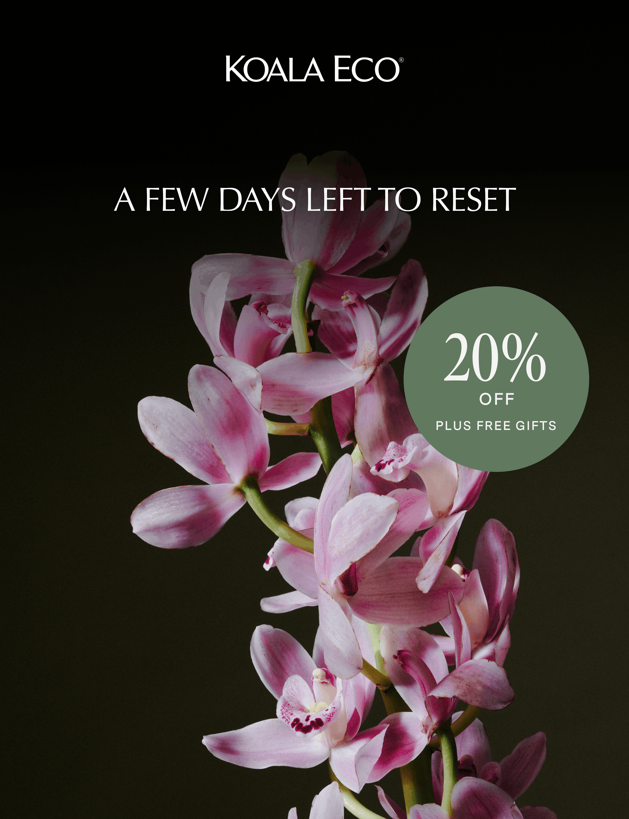 KOALA ECO: A few days left to reset