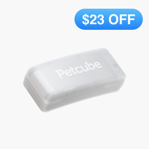 GPS Tracker