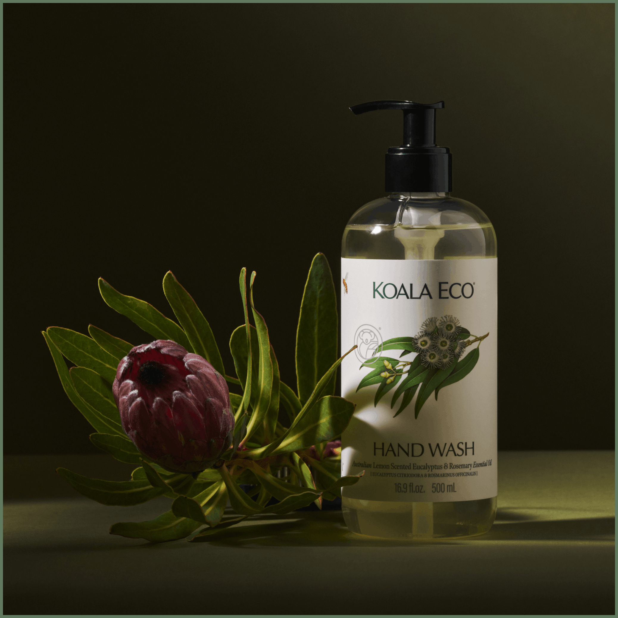 HAND WASH