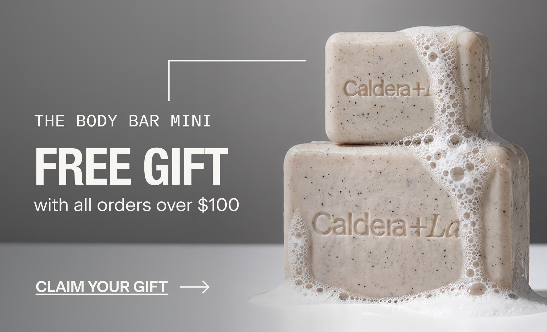 THE BODY BAR MINI  FREE GIFT with all orders over $100