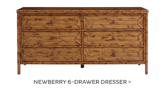 Newberry 6-Drawer Dresser
