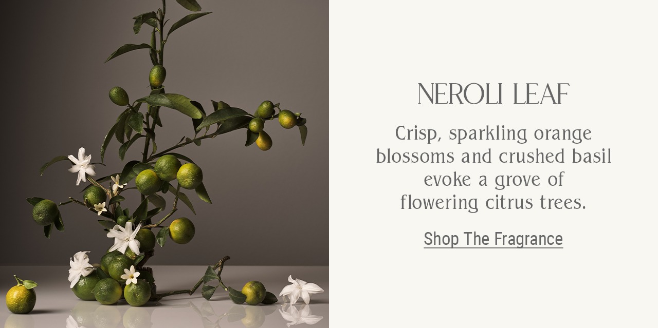 Neroli Leaf, Crisp, sparkling orange blossoms and crushed basil evoke a grove of flowering citrus trees. Shop the fragrance.