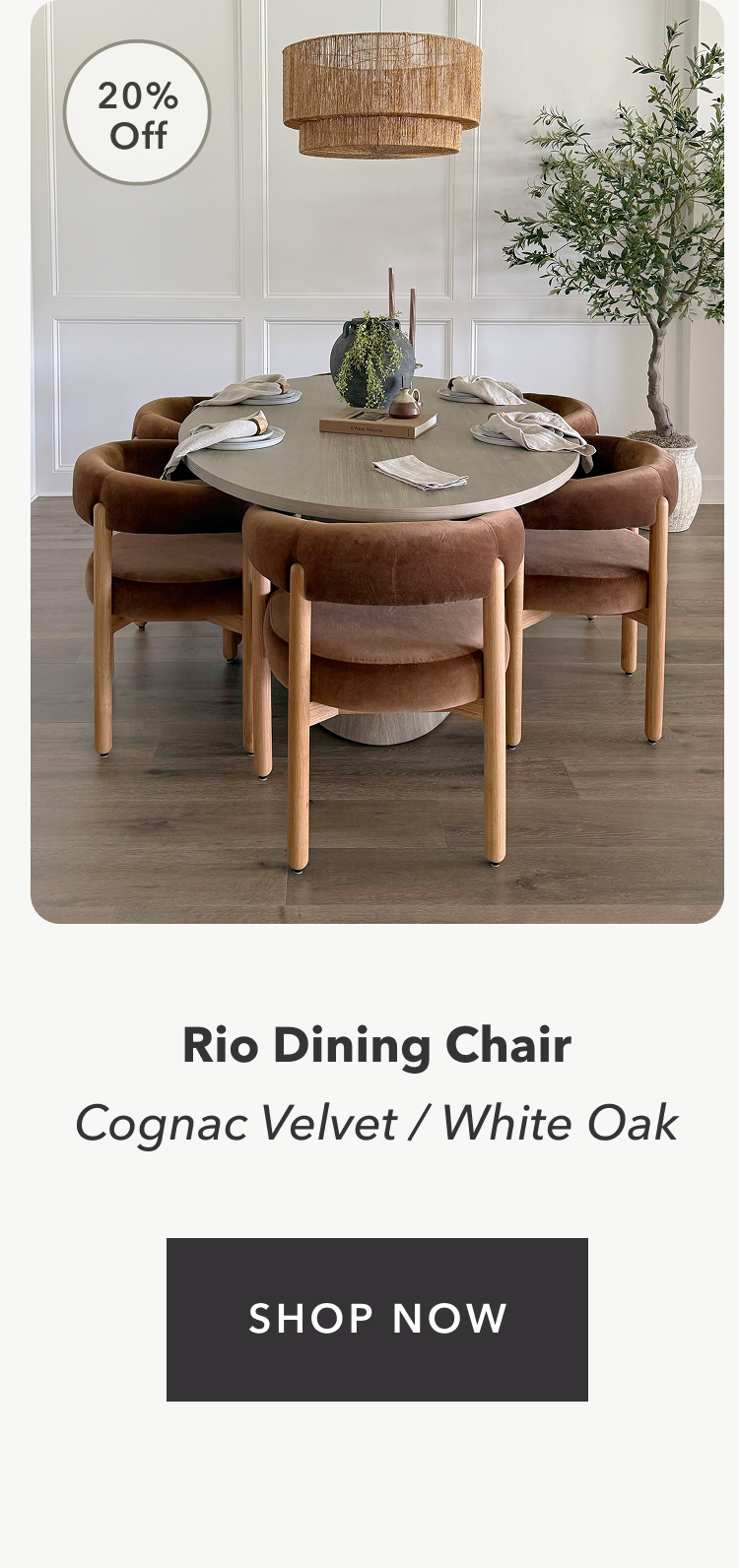 20% Off Rio Dining Chair