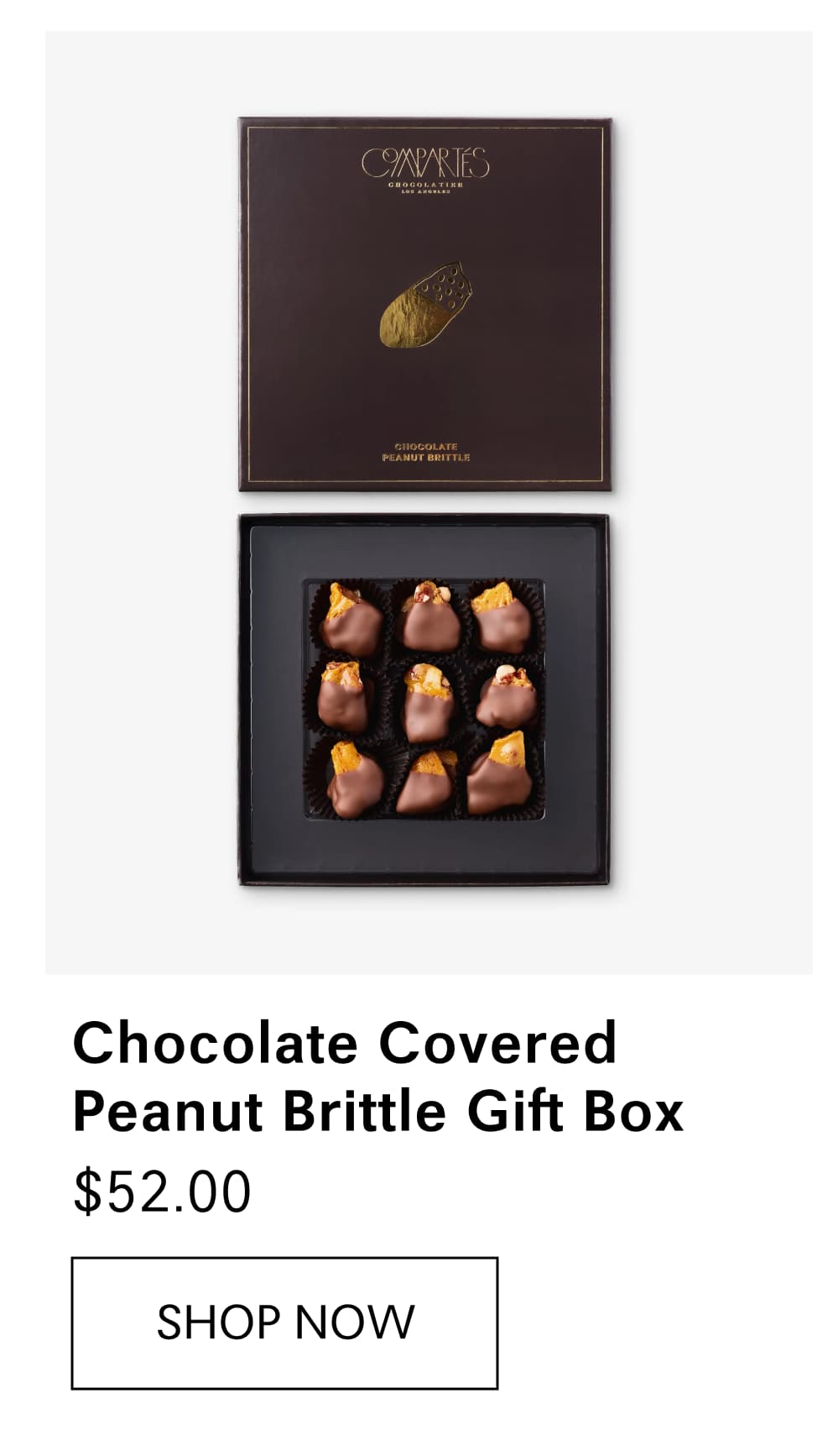 Chocolate Covered Peanut Brittle Gift Box