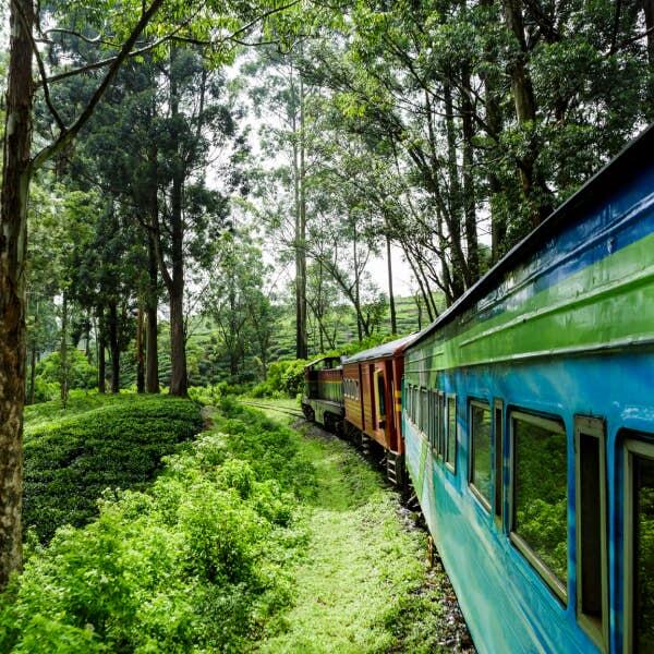 Image of a train route along a forest