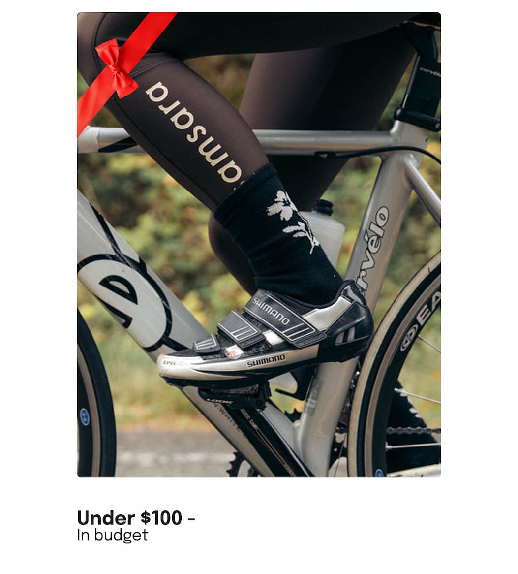 Under $100 -  In budget
