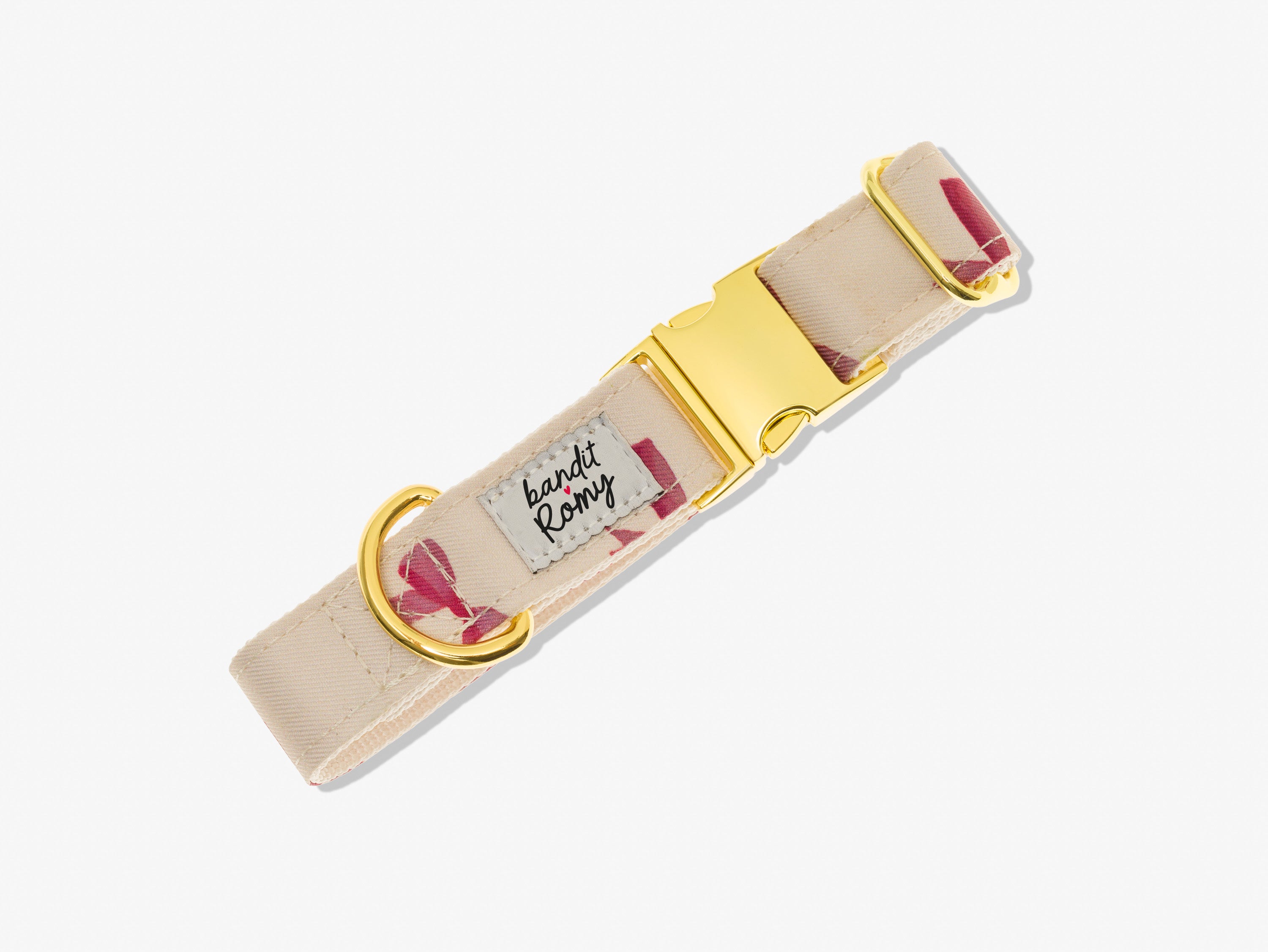 Image of Collier chien Bandit x Romy