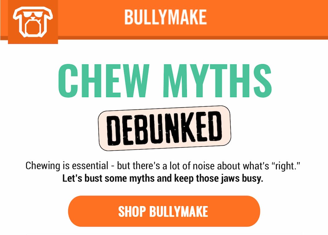 Bullymake Dog Toy Subscription Box