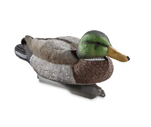 Decoys