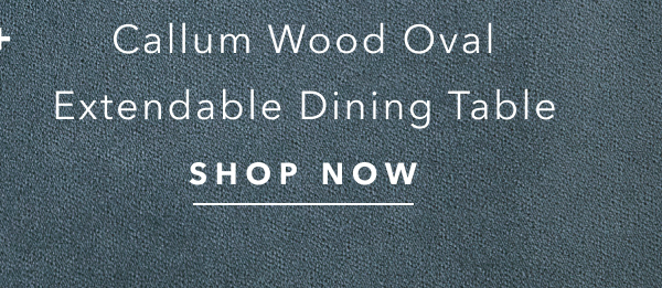 Callum Extendable Dining Table 