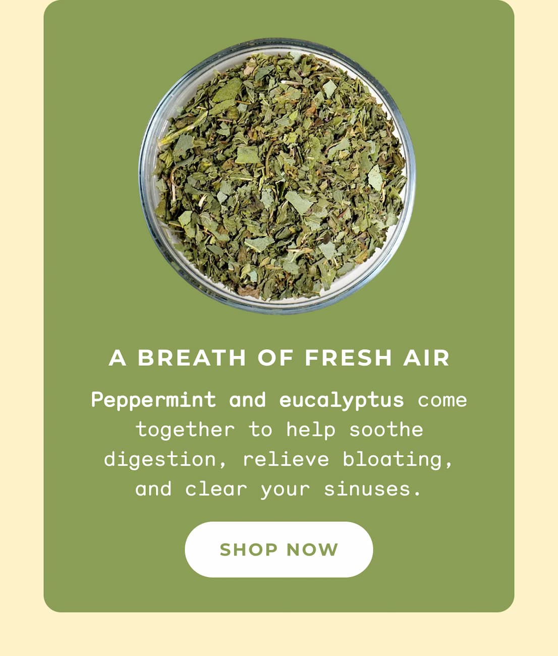 A breath of fresh air >
