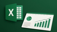 Excel: Master Microsoft Excel from Basics to Advanced Excel