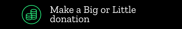 Make a Big or Little donation
