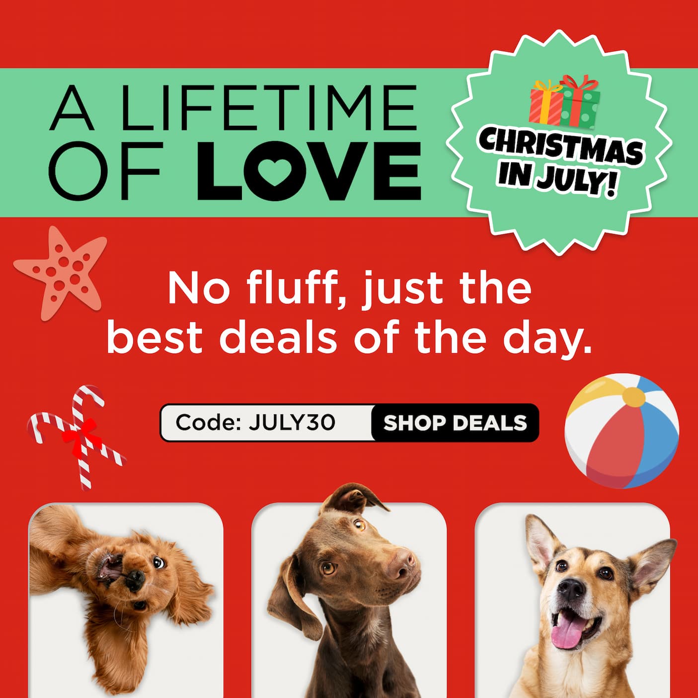 30% off select chews code JULY30
