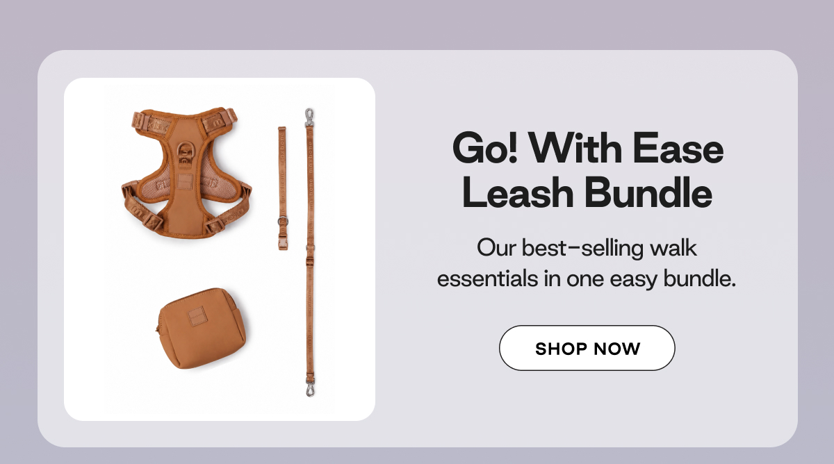 Shop Leash Bundle 