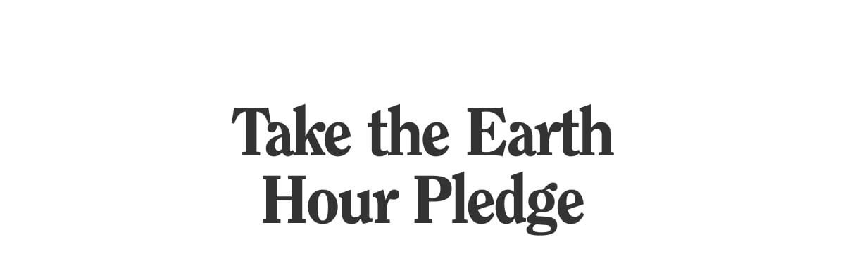 Take the Earth Hour Pledge
